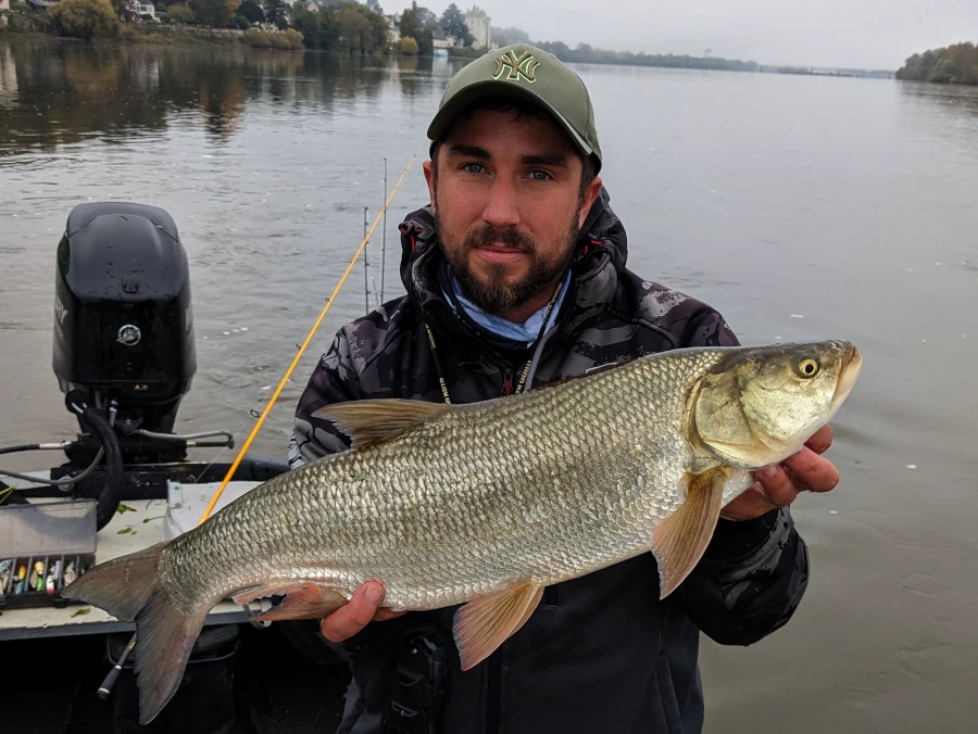 Pêche de l’aspe en Loire sur secteur courant avec guide de pêche.