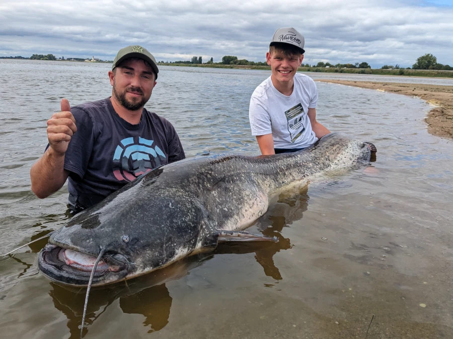 Pêche du silure aux leurres